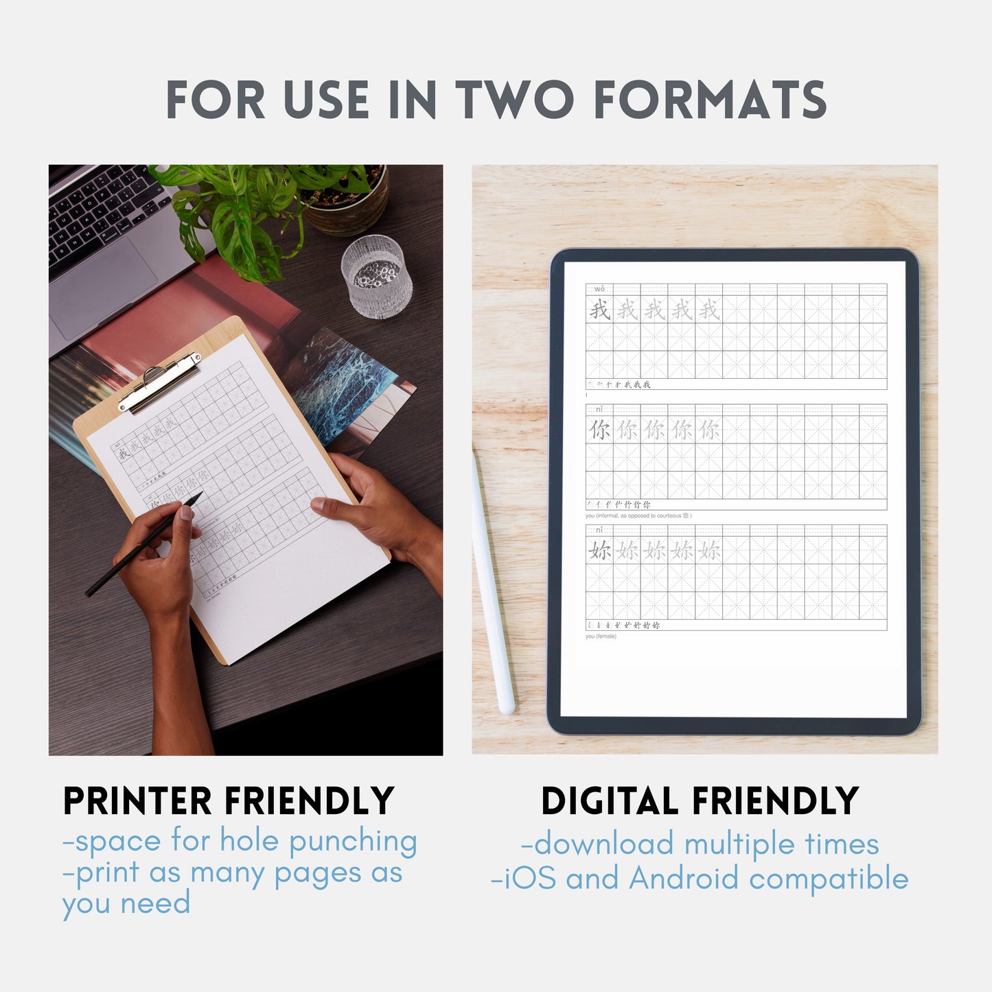 Traditional Chinese Character Workbook: VOLUME 2